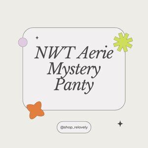 NWT Aerie Mystery Panty
